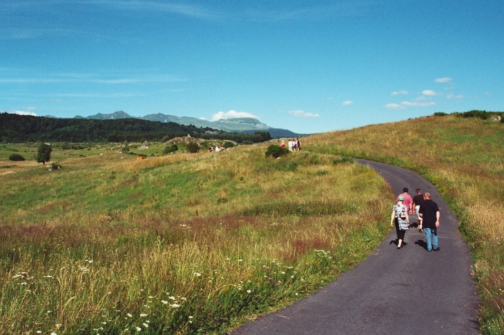 Chemins d'Auvergne - Saint-Donat