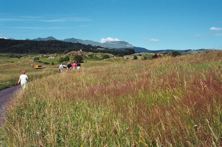 Chemins d'Auvergne - Saint-Donat