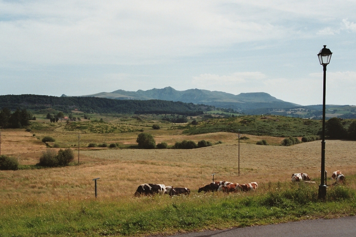 Vue du Sancy - Saint-Donat