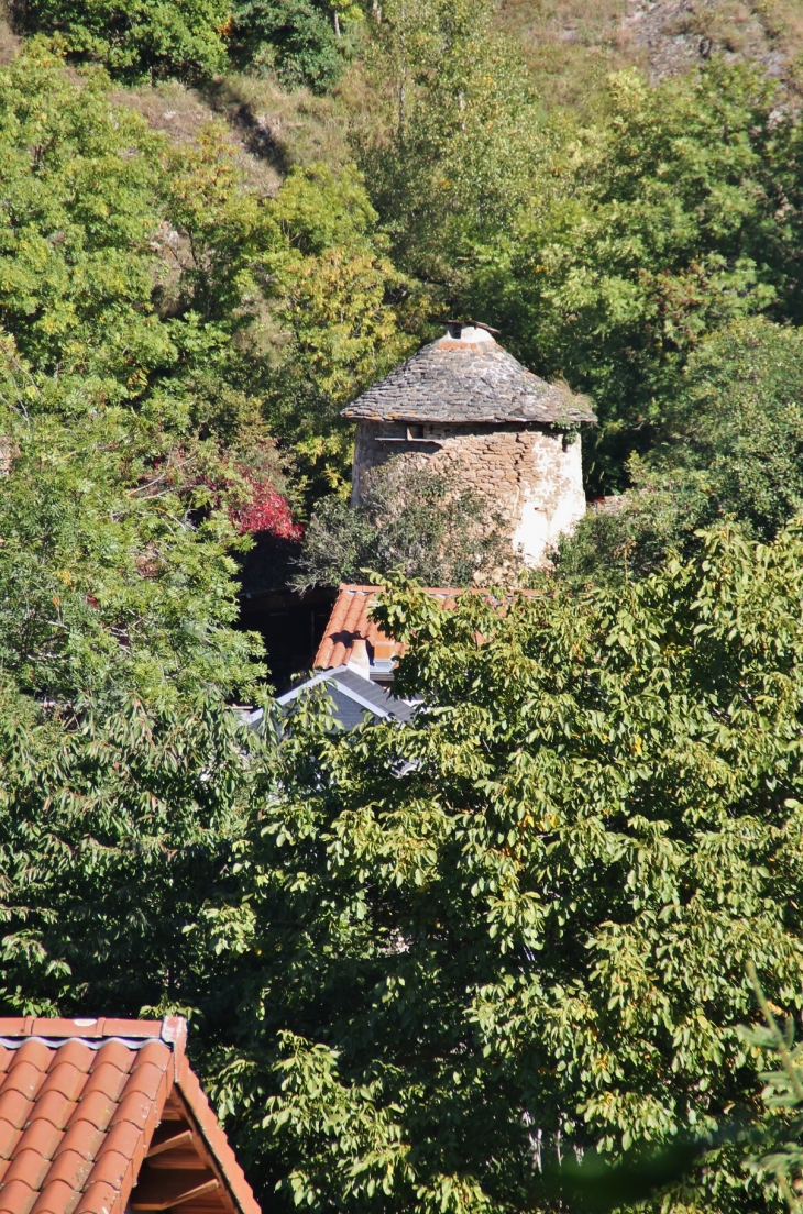 Pigeonnier  - Saint-Floret