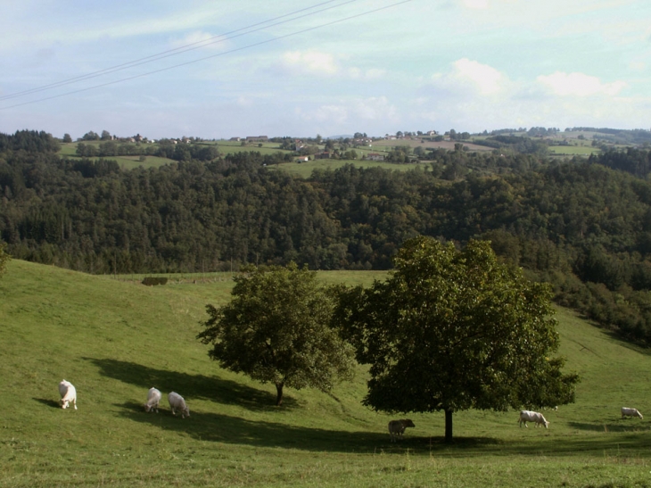 Fontbertasse - Saint-Flour