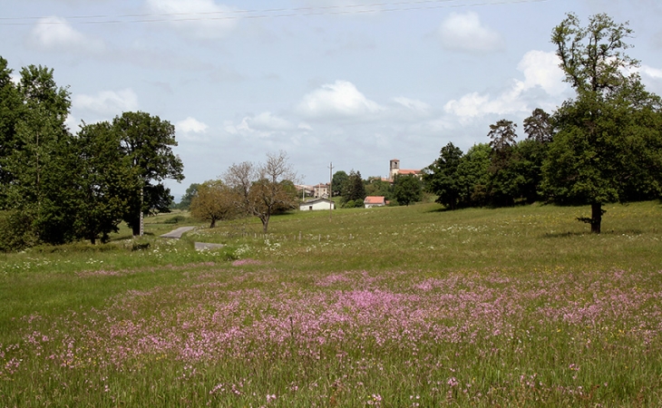 L'Église - Saint-Flour