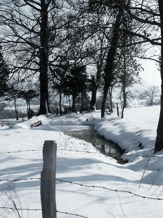 Paysage de neige - Saint-Flour