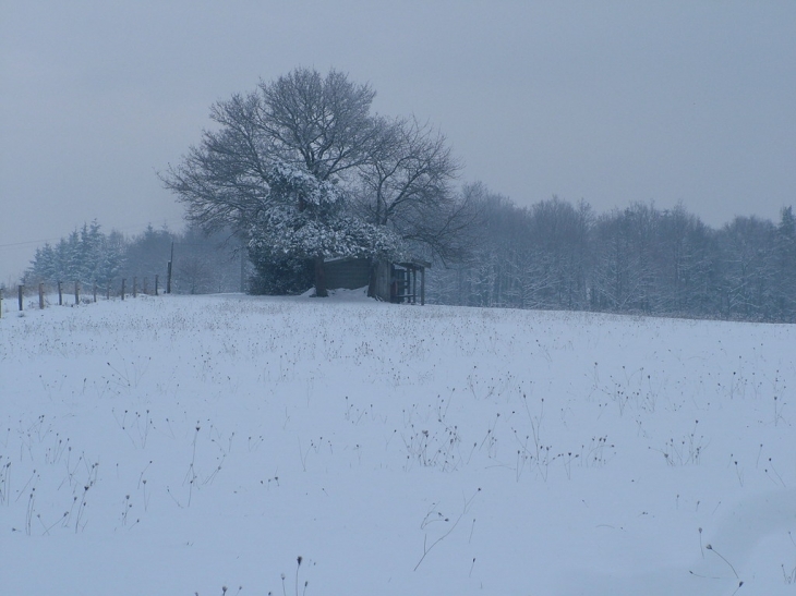 Un hiver rigoureux - Saint-Georges-de-Mons