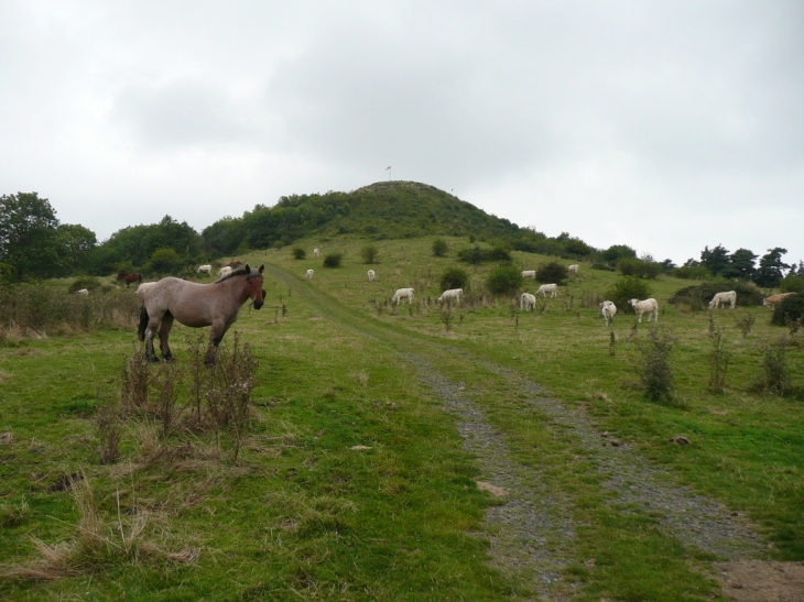 Mont St Romain Dpt 63 - Saint-Romain