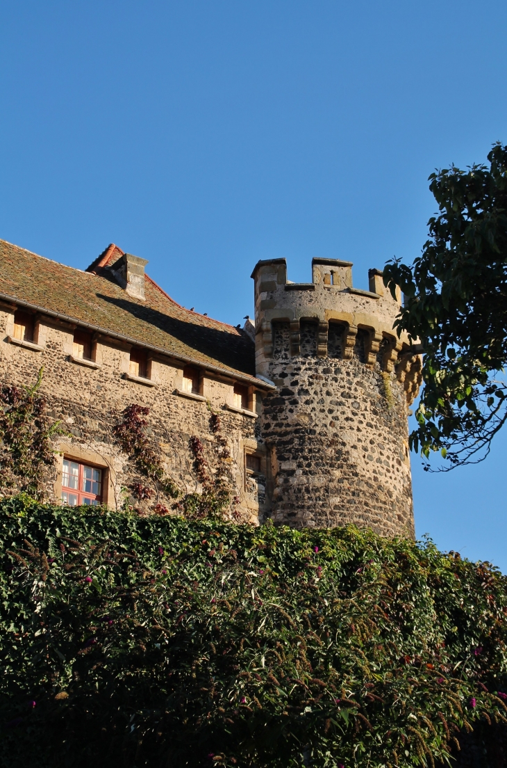 Le Château - Saint-Saturnin