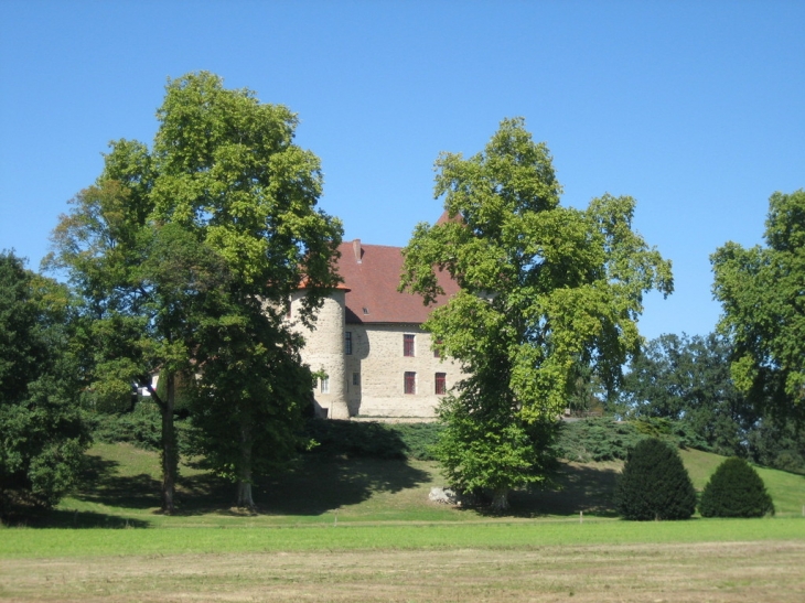 Chateau de la Poivriere - Saint-Sylvestre-Pragoulin