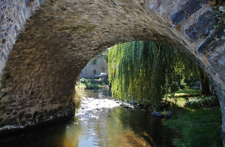 La Couze Pavin et le Pont Vieux - Saurier