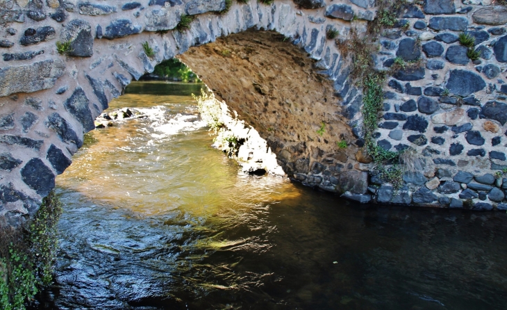 Pont Vieux sur La Couze-Pavin - Saurier