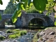 La Couze Pavin et le Pont Vieux