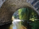 La Couze Pavin et le Pont Vieux