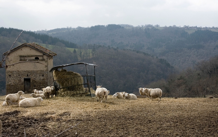 Vue d'en haut - Sauviat