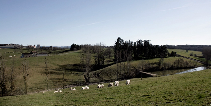 Paysage - Trézioux