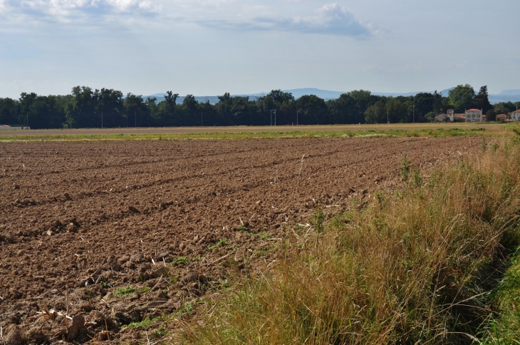 Campagne de Varennes sur Usson - Varennes-sur-Usson