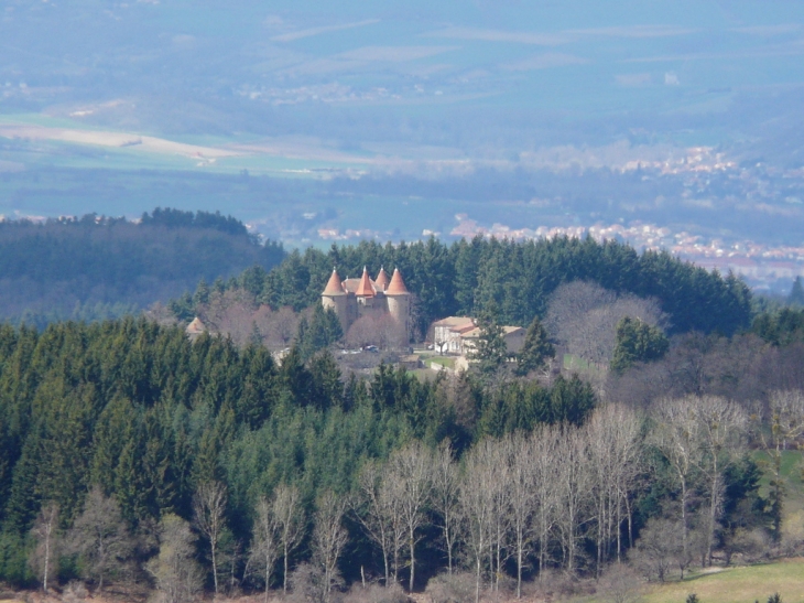 Le château de Montfort - Vernet-la-Varenne