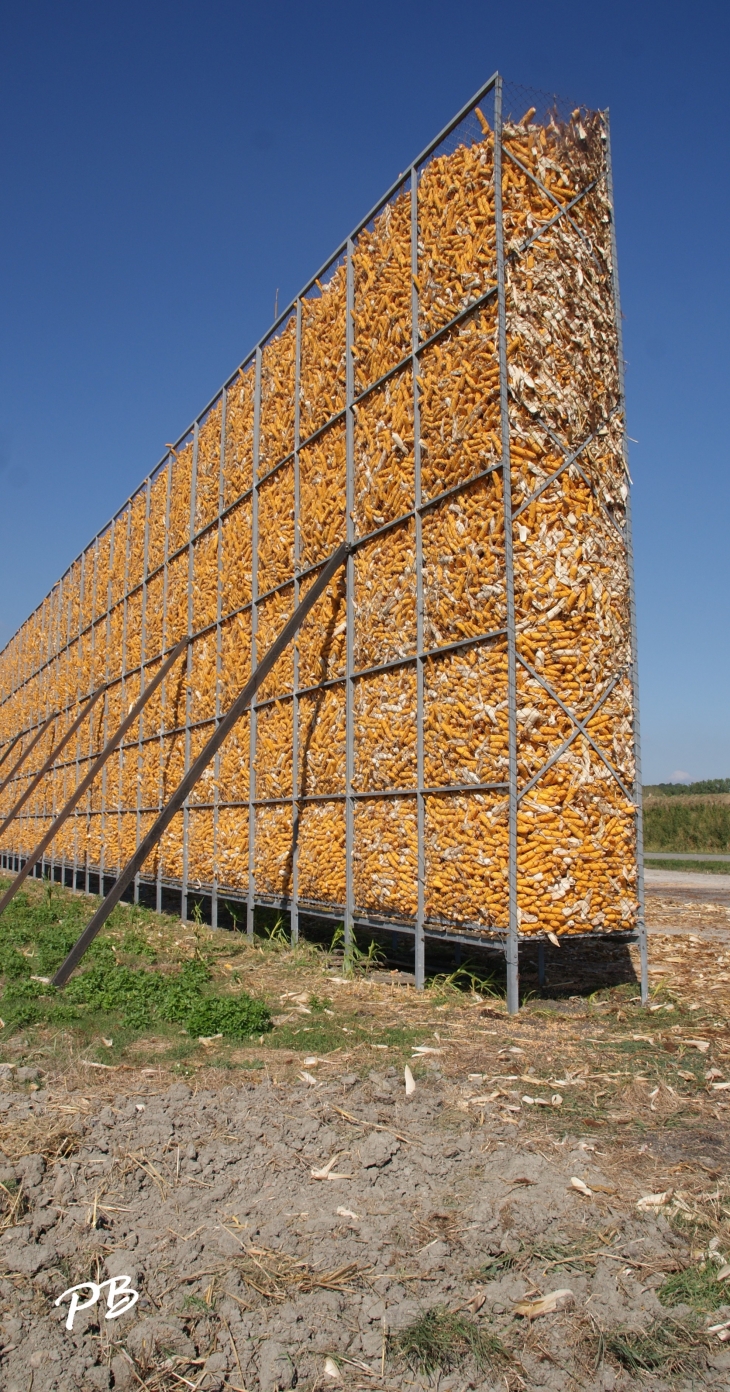 Silo de Séchage du Maïs - Villeneuve-les-Cerfs