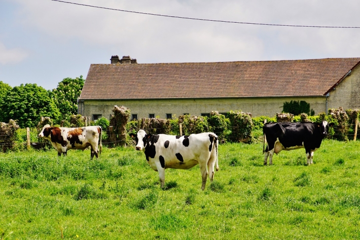 En Patures - Amayé-sur-Seulles