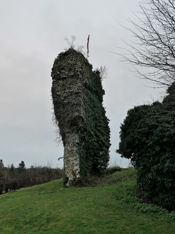 Vestige du château - Blangy-le-Château