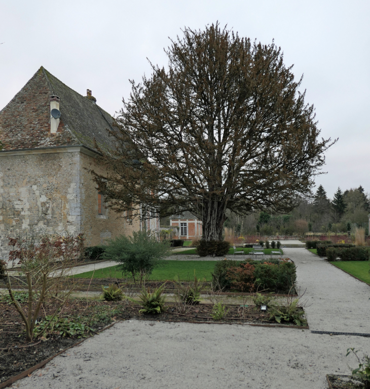 Le parc du manoir - Blangy-le-Château