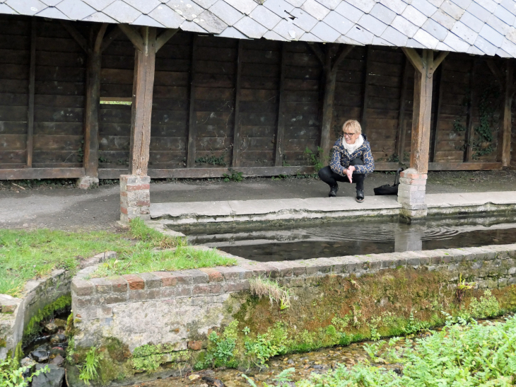 Le vieux lavoir - Blangy-le-Château