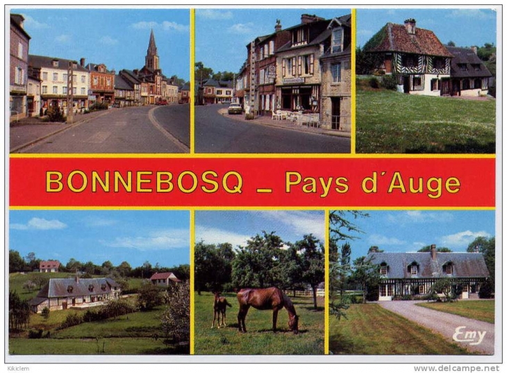 Carte postale bonnebosq ancienne