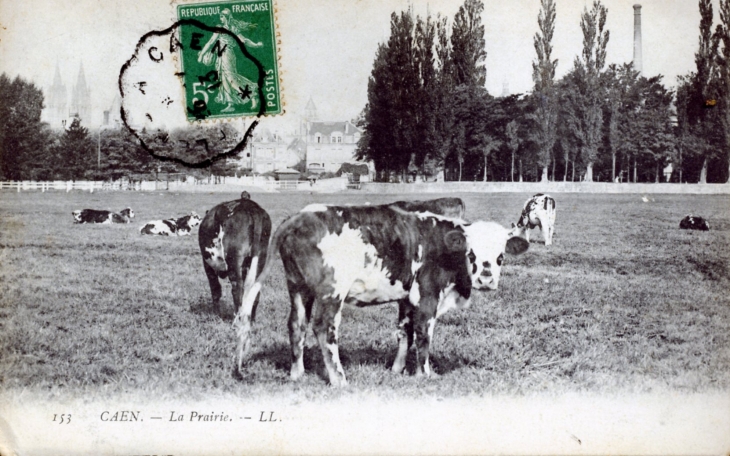 La prairie, vers 1913 (carte postale ancienne). - Caen