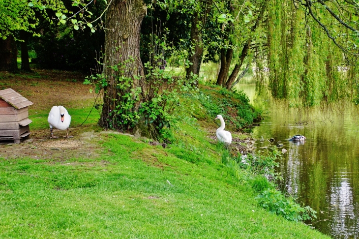 Etang - Cahagnolles