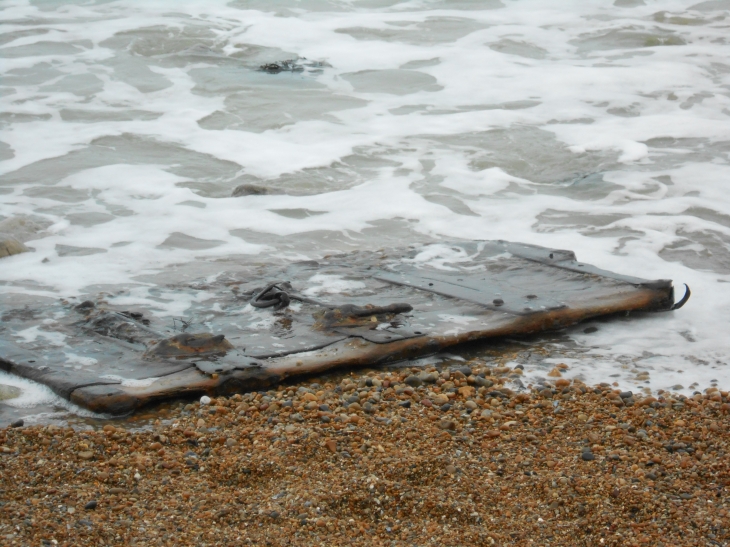 Lorsque la mer nous offre des vestiges... - Commes