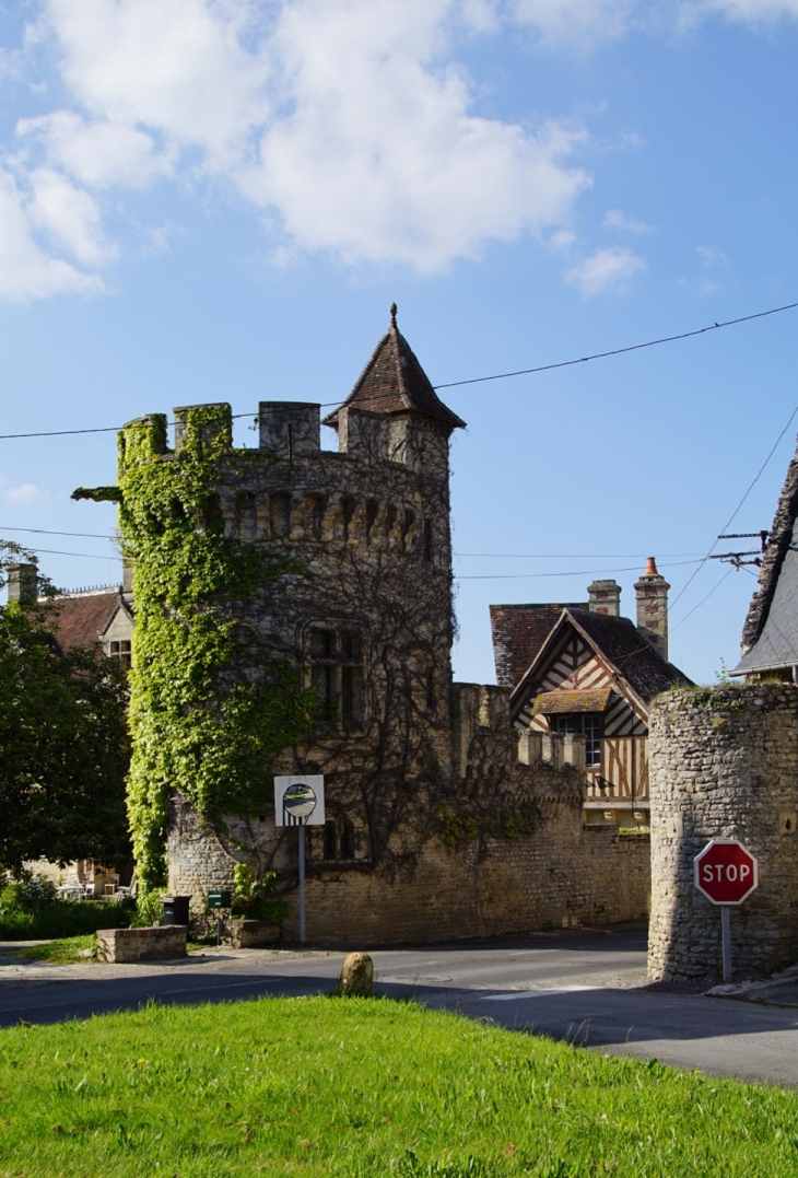 Tour du Manoir - Commes