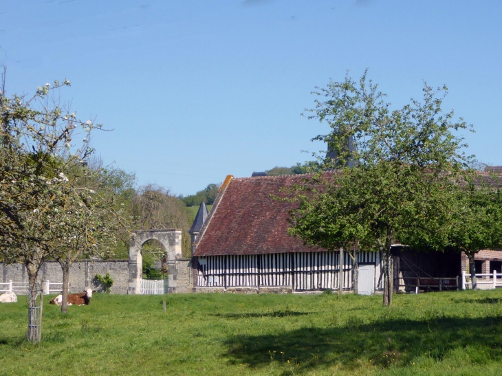 Village normand - Cricqueville-en-Auge