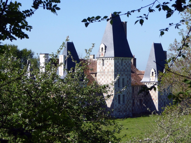 Vue sur l'arrière du château - Cricqueville-en-Auge