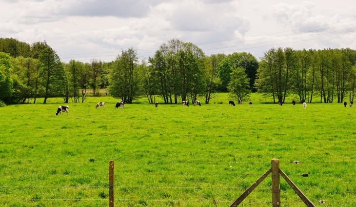 La Campagne - Crouay