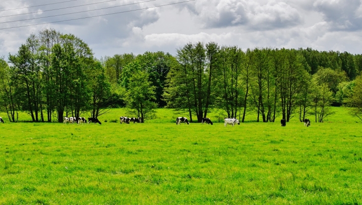 La Campagne - Crouay