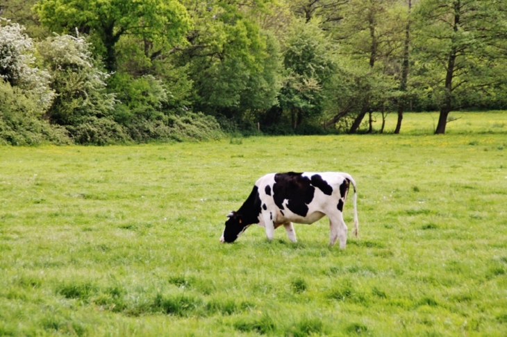 La Campagne - Crouay