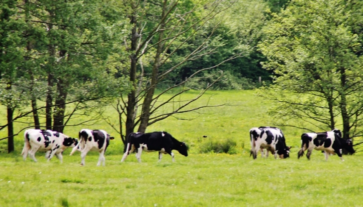 La Campagne - Crouay