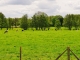 Photo précédente de Crouay La Campagne