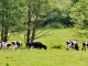 Photo précédente de Crouay La Campagne