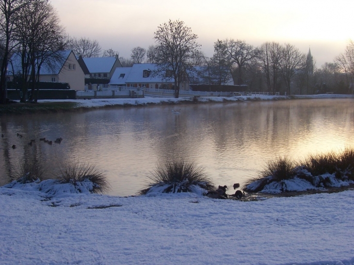 Plan d'eau - Fontenay-le-Pesnel