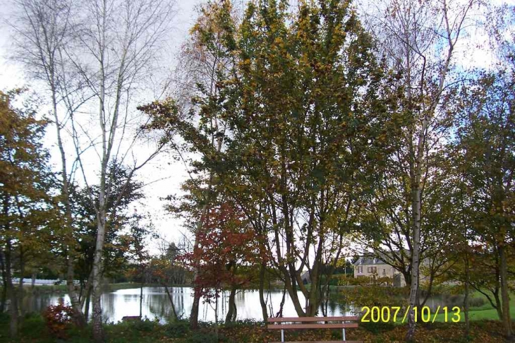 Plan d'eau - Fontenay-le-Pesnel