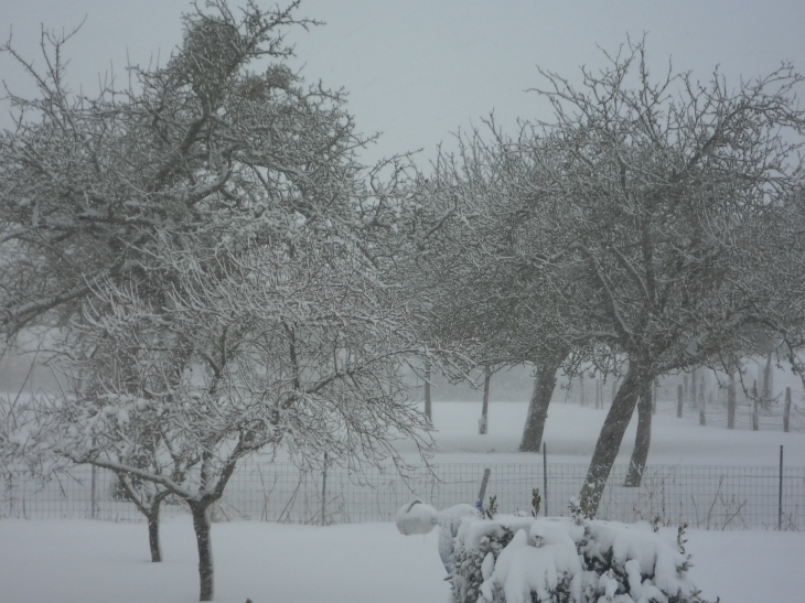 étang sous la neige - Fontenay-le-Pesnel