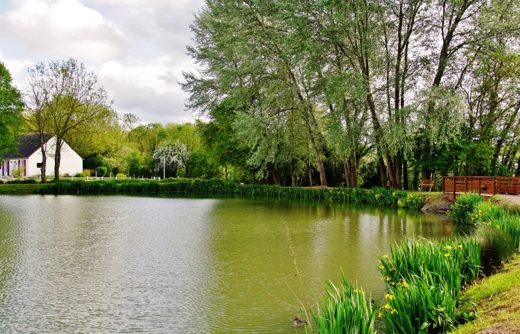 L'étang - Fontenay-le-Pesnel