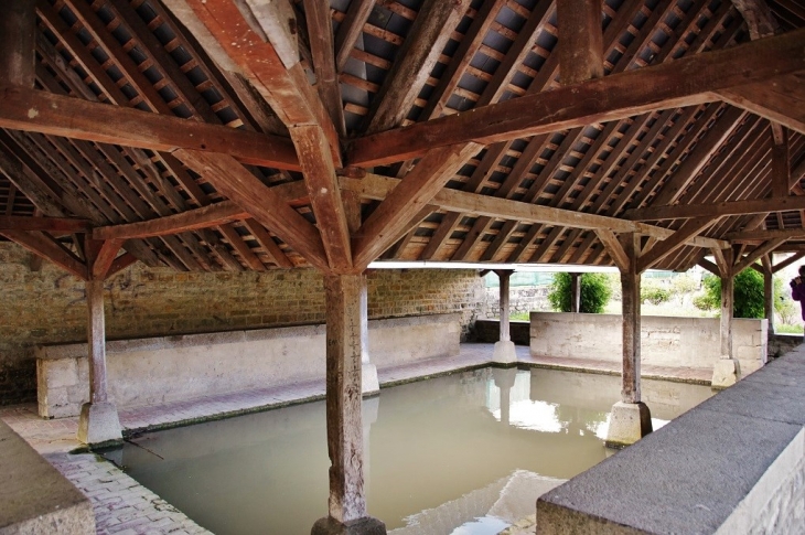 Le Lavoir - Fontenay-le-Pesnel