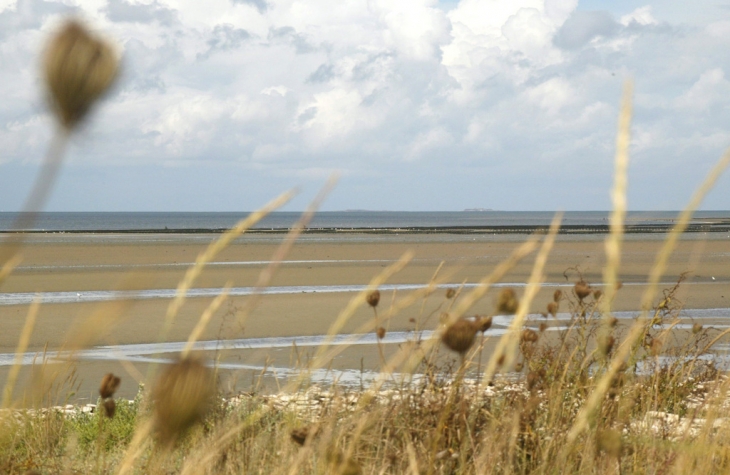 Gefosse et les iles St Marcouf - Géfosse-Fontenay