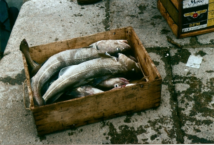  - Honfleur