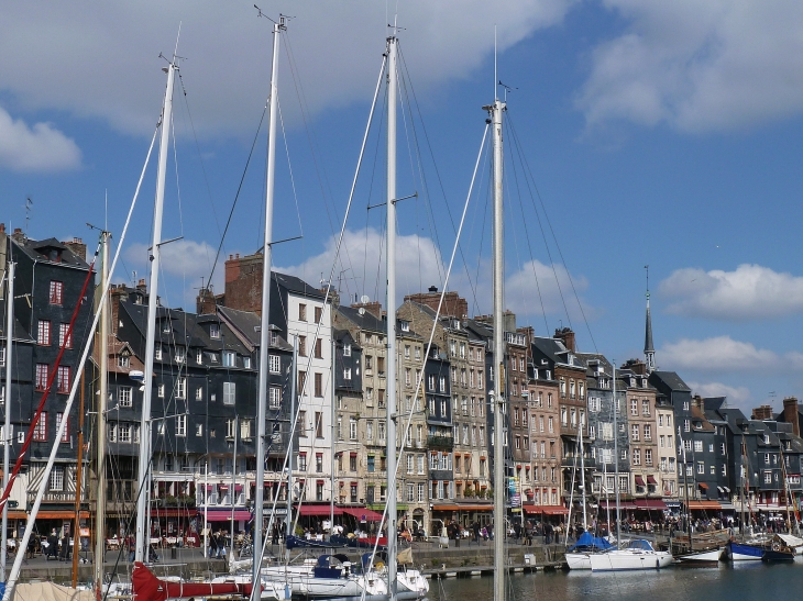 Le vieux port : quai sainte Catherine - Honfleur