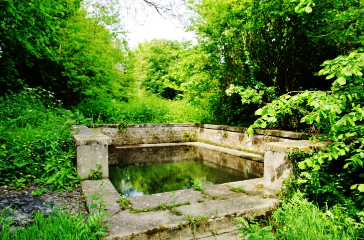 Le Lavoir - Neuilly-la-Forêt