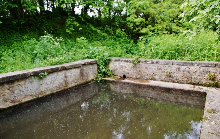 Le Lavoir - Neuilly-la-Forêt