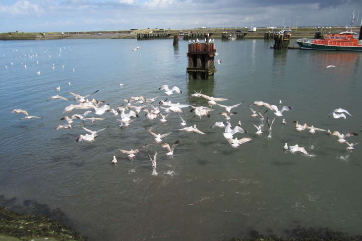 Le port de OUISTREHAM.