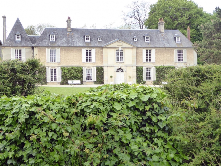 Le château - Saint-Côme-de-Fresné