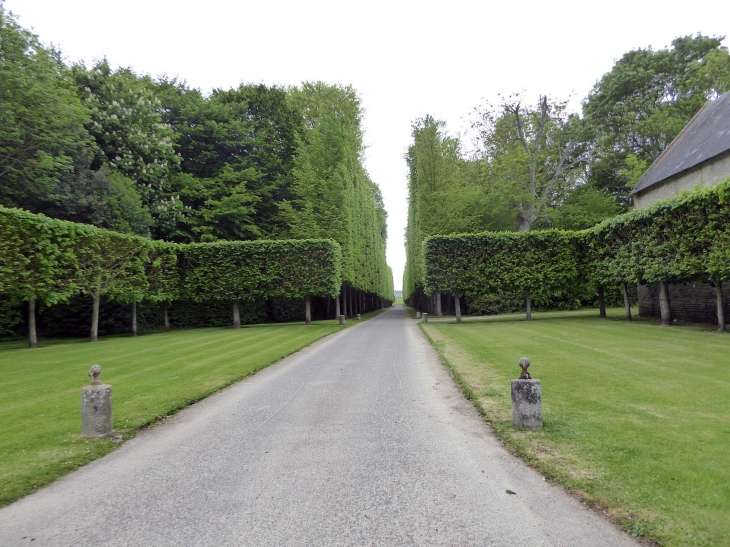 L'allée du château - Saint-Gabriel-Brécy